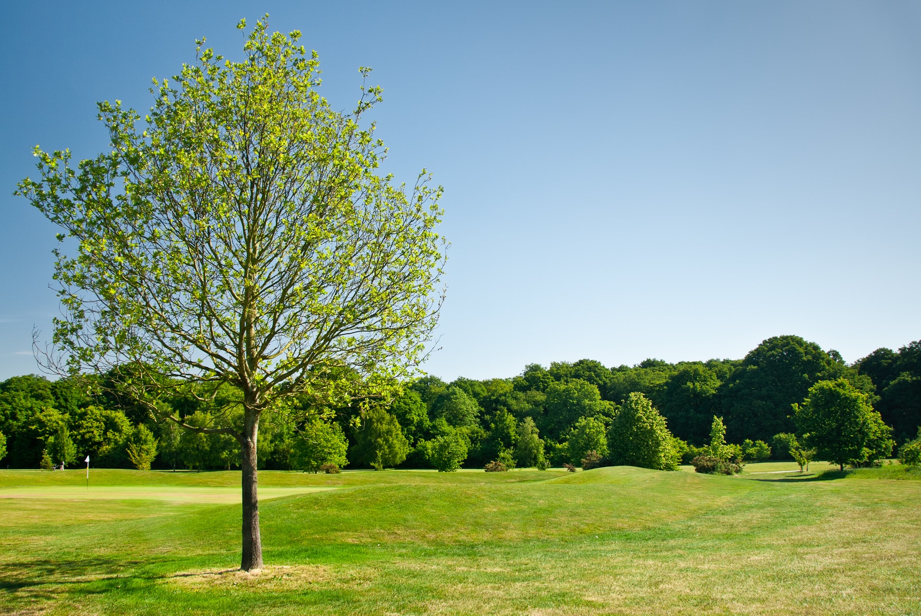 Contact The Burstead Golf Club in Billericay, Essex