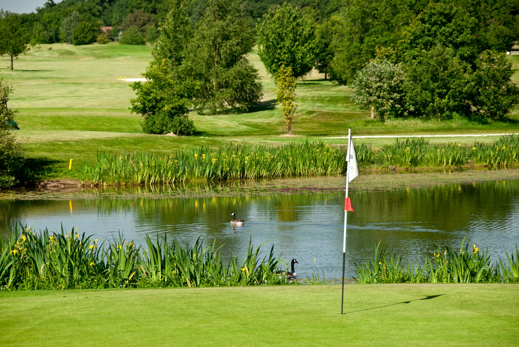 Visitor Feedback Form The Burstead Golf Club in Billericay, Essex